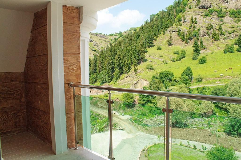 Hotel Green Valley Savsat Quarto foto